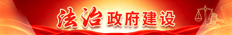法治政府建设